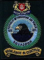 111-squadron-singapore