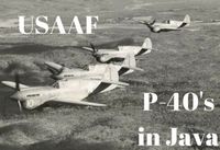 p-40-13-pursuit-squadron-provisional-